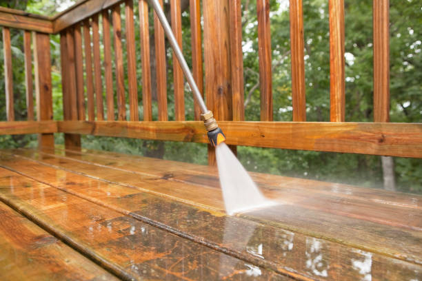 Best Power Washing Near Me  in Hillsboro, WI