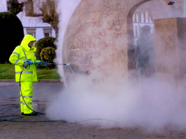 Best Local Pressure Washing Services  in Hillsboro, WI